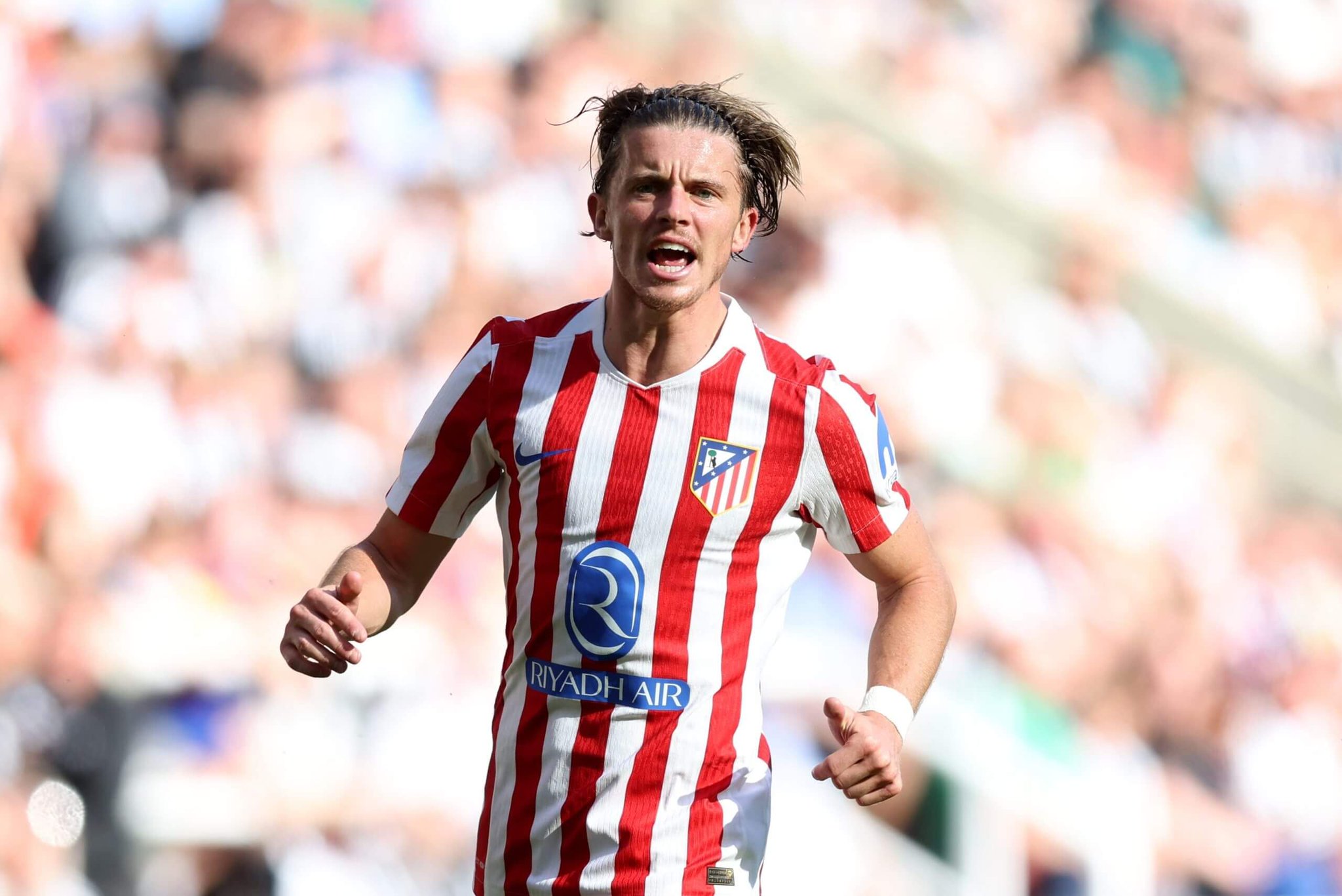 杯阵容的机, stron 杯阵容的机, stron